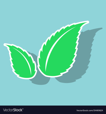 Sticker leaves logo template vector image Sticker leaves logo template vector image