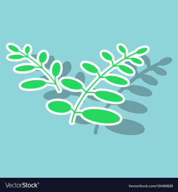 Sticker leaves logo template vector image Sticker leaves logo template vector image