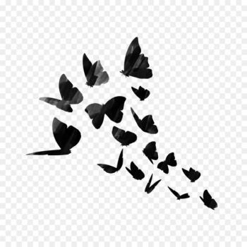 Sticker PicsArt Photo Studio Decal Editing - Sticker Sticker PicsArt Photo Studio Decal Editing - Sticker