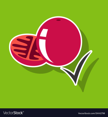 Sticker tomato isolated on background vector image Sticker tomato isolated on background vector image