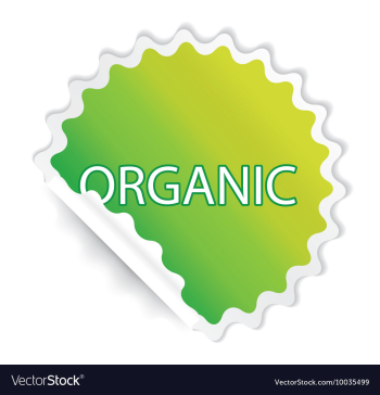Sticker vector image Sticker vector image