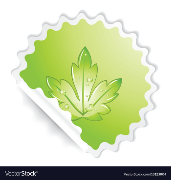 Sticker vector image Sticker vector image