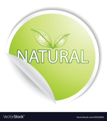 Sticker vector image Sticker vector image
