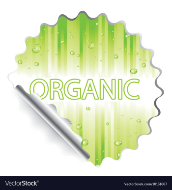 Sticker vector image Sticker vector image