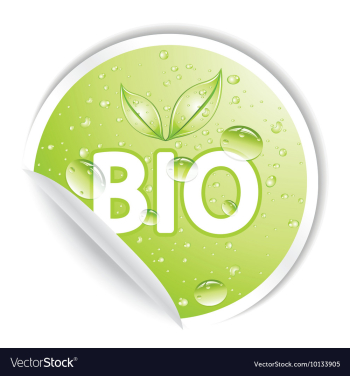 Sticker vector image Sticker vector image