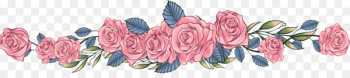 Still Life: Pink Roses Computer file - Pink hand-painted roses dividing line 