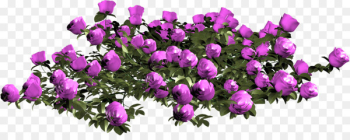Still Life: Pink Roses Image Painting Vector graphics Portable Network Graphics - painting 