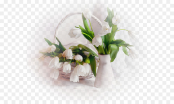 Still life with flowers Flowers and Fruit Tulip - flower Still life with flowers Flowers and Fruit Tulip - flower
