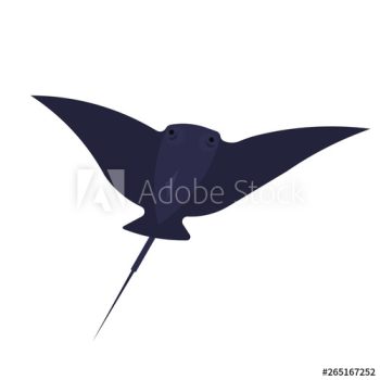 Stingray animal Stingray animal