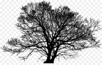 Stock illustration Silhouette Stock photography Dreamstime - Stock illustration Silhouette Stock photography Dreamstime -