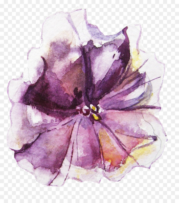 Stock illustration Watercolor painting Watercolor: Flowers Royalty-free - hydrangea watercolor 