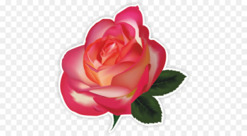 Stock photography Illustration Fotosearch Vector graphics - rose 