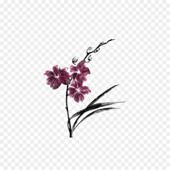 Stock photography Ink wash painting Image Calligraphy - anggrek ornament 