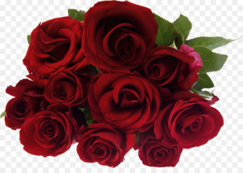 Stock photography Rose Flower bouquet - red roses Stock photography Rose Flower bouquet - red roses
