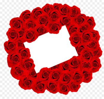 Stock photography Royalty-free Rose Picture frame - Love Rose 
