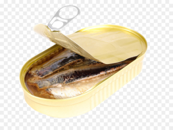 Stock photography Sardine Oil - oil Stock photography Sardine Oil - oil