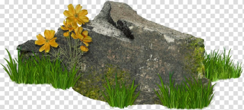 Stone Author Winter , others transparent background PNG clipart Stone Author Winter , others transparent background PNG clipart