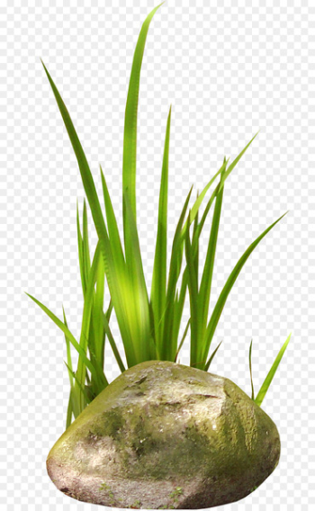 Stone Cattail Forest Clip art - easter grass Stone Cattail Forest Clip art - easter grass