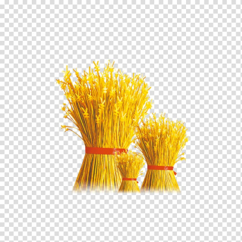 Straw transparent background PNG clipart