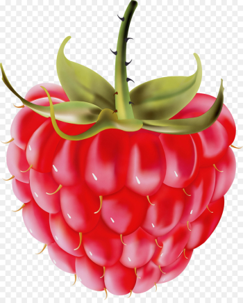 Strawberry Strawberry
