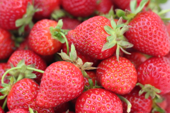 Strawberry Close Up Photo Strawberry Close Up Photo