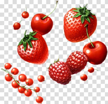 Strawberry Food Accessory fruit Auglis, strawberry transparent background PNG clipart
