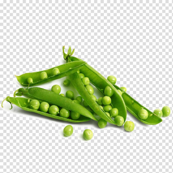 String beans art, 4 Pics 1 Word Pea Letter Vegetable, Fine peas transparent background PNG clipart