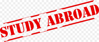 Study abroad Student Educational consultant College - student 