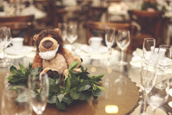Stuffed Animal Tabletop Decor Stuffed Animal Tabletop Decor