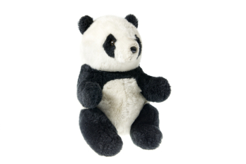 Stuffed toy Panda isolated on white Stuffed toy Panda isolated on white