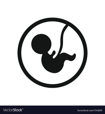 Stylish black and white icon child in the womb vector image