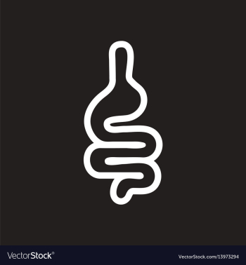 Stylish black and white icon human intestine vector image Stylish black and white icon human intestine vector image