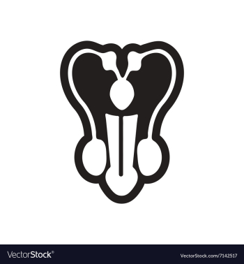 Stylish black and white icon male penis vector image Stylish black and white icon male penis vector image