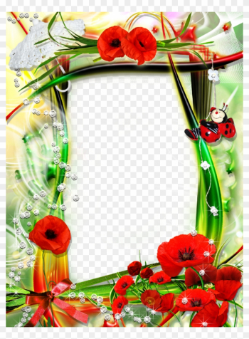 Stylish Picture Frame With Charming Poppy Flowers - Picture Frame