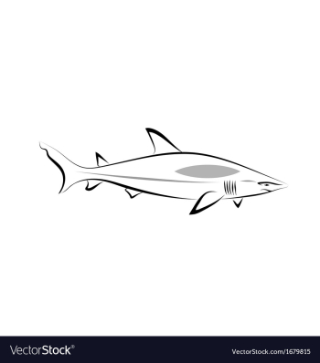 Stylized shark vector image Stylized shark vector image