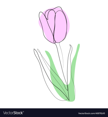 stylized tulip color spots