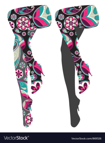 Stylized woman legs vector image