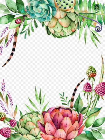 Succulent plant Flower Watercolor painting Cactaceae Branch - succulent plants 