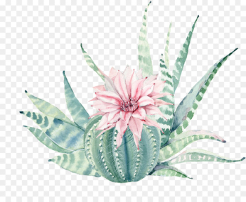 Succulent plant Painting Canvas print Cactaceae - Hand painted watercolor, pink flowers, green plants 