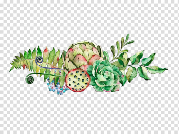 Succulent plant Poster Watercolor painting, Lotus Shower transparent background PNG clipart