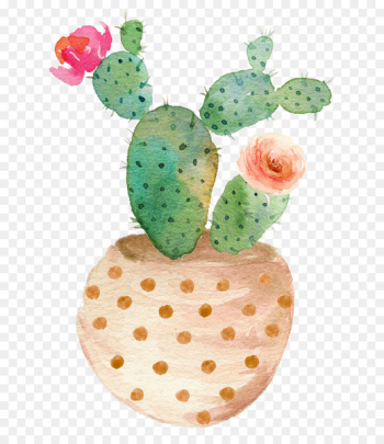 Succulent plant Watercolor painting Printing Cactaceae - Sen Department aesthetic cactus 