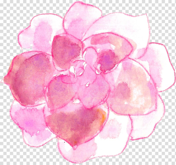 Succulent plant Watercolor painting, succulent plants transparent background PNG clipart