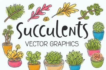 Succulents 14 vector illustrations Succulents 14 vector illustrations