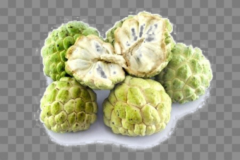 Sugar Apple Free PNG Image Sugar Apple Free PNG Image