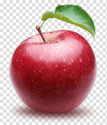 Sugar-apple Fruit Desktop , apple transparent background PNG clipart Sugar-apple Fruit Desktop , apple transparent background PNG clipart