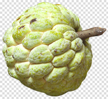 Sugar apple fruit illustration, Sugar apple Sugar-apple Custard Cherimoya Fruit, Custard Apple Fruit transparent background PNG clipart