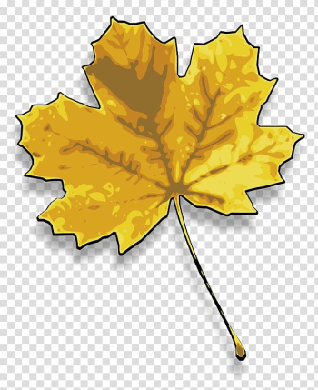 Sugar maple Red maple Maple leaf , Of Maple Leaves transparent background PNG clipart