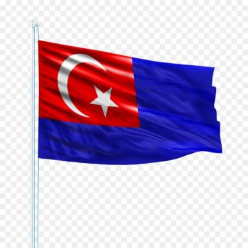 Sultan of Johor Selangor Chief Ministers in Malaysia Bendera Johor - malaysia 