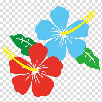 Summer flower, blue and pink hibiscus flower., others transparent background PNG clipart