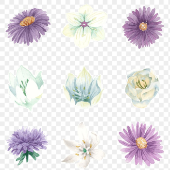 Summer flower diary sticker png set Summer flower diary sticker png set